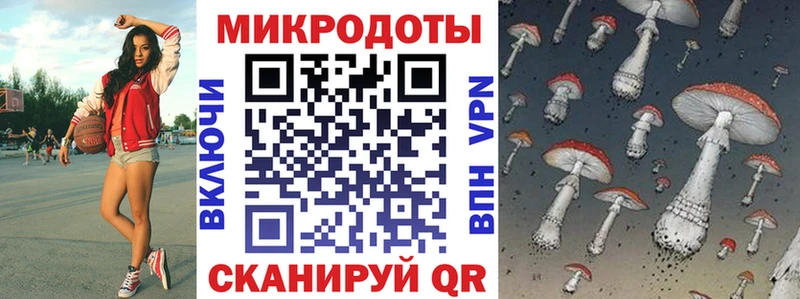 Псилоцибиновые грибы Psilocybine cubensis  хочу наркоту  Терек 