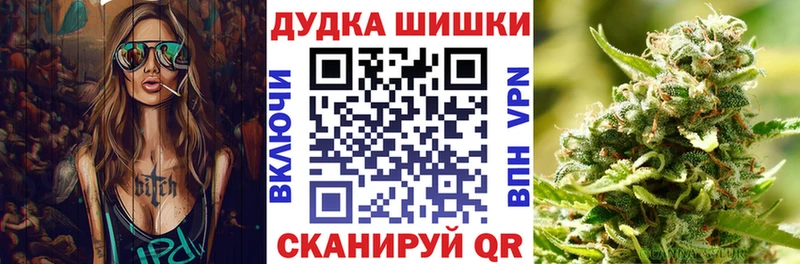 Бошки марихуана сатива  купить  цена  Терек 